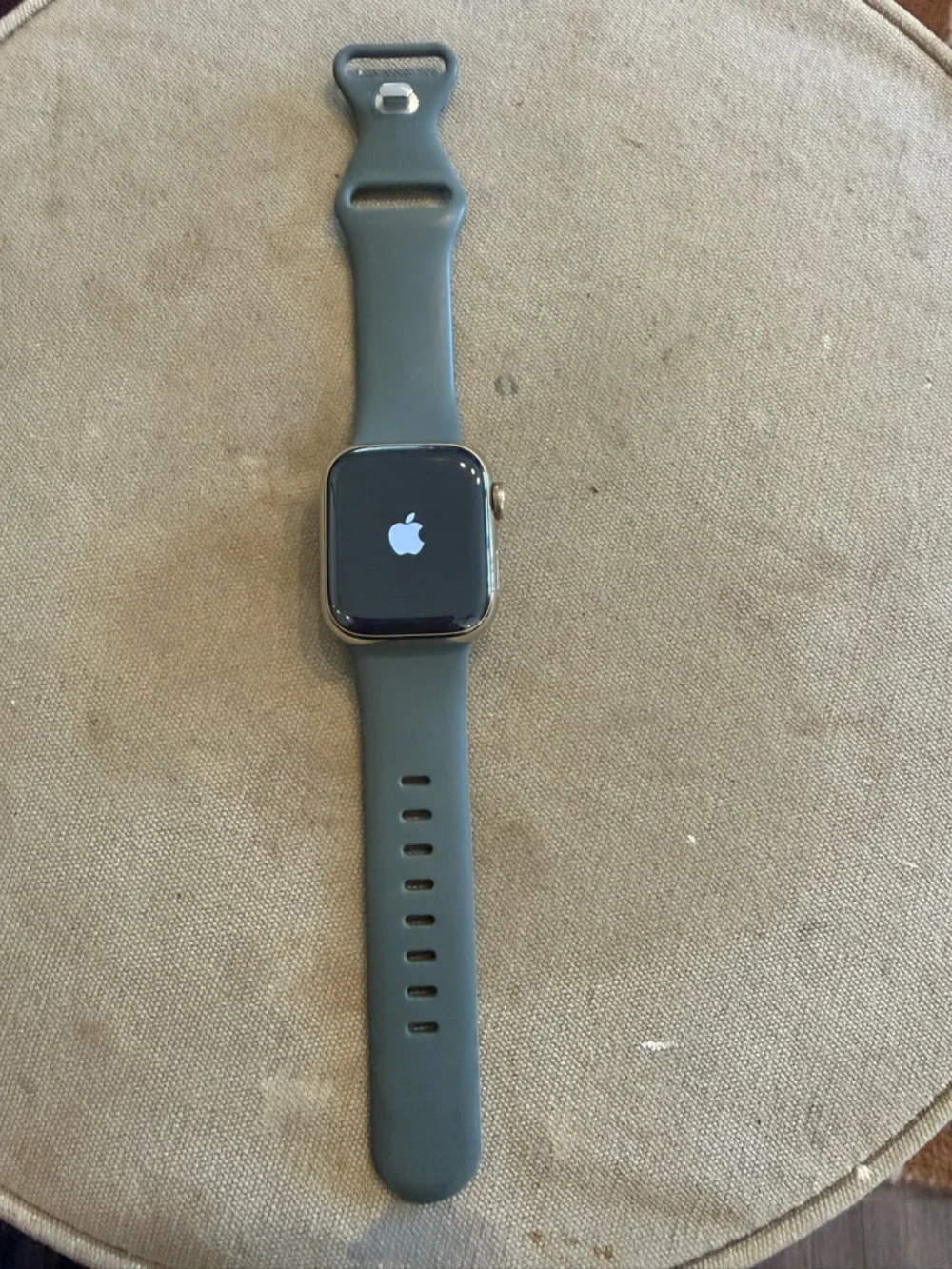 Apple Watch Series 8 Gold Stainless Steel with Olive Green Sport Band